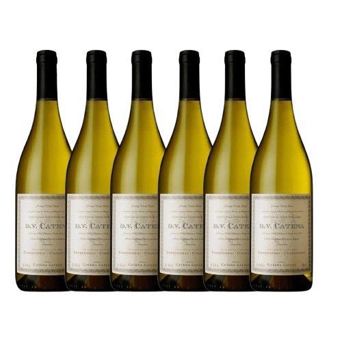 Kit 6 DV Catena Chardonnay 2022